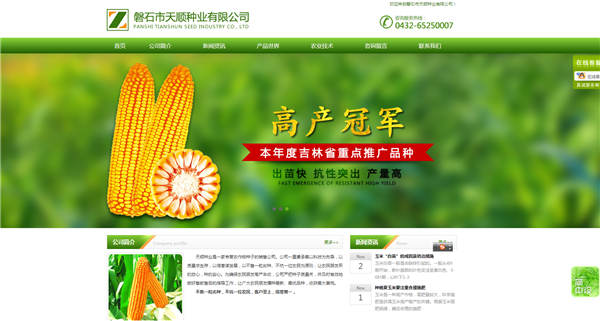 如何在網站建設中借鑒別人策劃的幾個方法